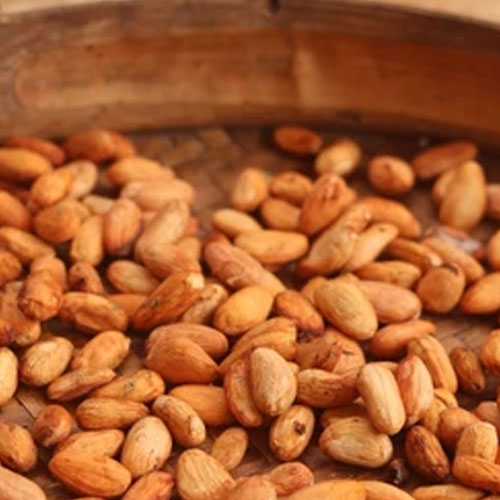 Fermented Cocoa Beans