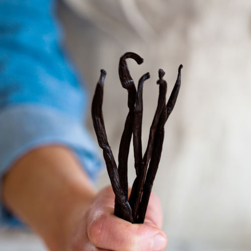 Gourmet Vanilla Beans