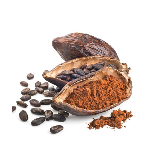 African Cocoa Beans