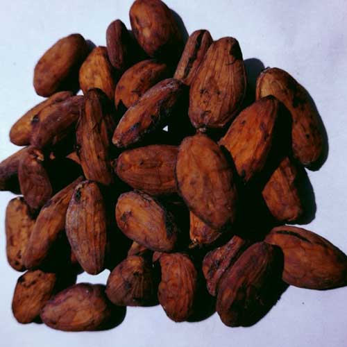 Trinitario Cocoa Beans