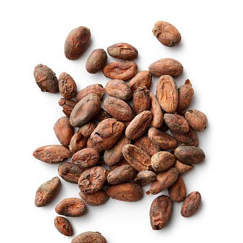 Trinitario Cocoa Beans