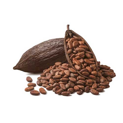 Trinitario Cocoa Beans
