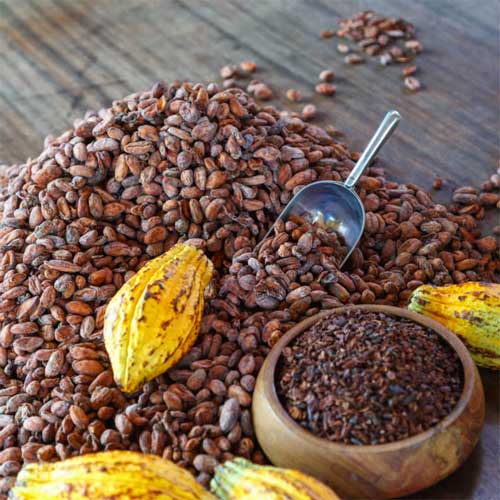 Trinitario Cocoa Beans