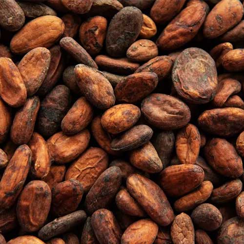 Trinitario Cocoa Beans
