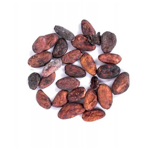 Trinitario Cocoa Beans