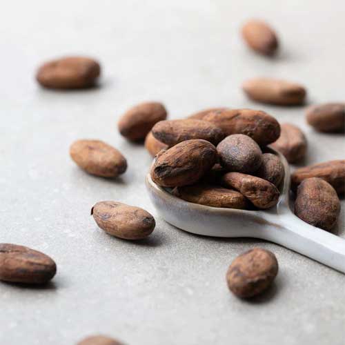 Trinitario Cocoa Beans