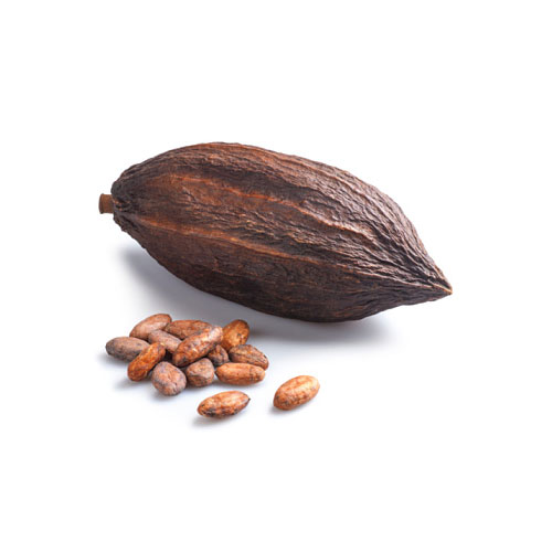 Organic Cocoa Beans