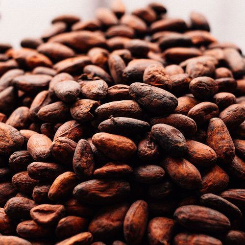 Organic Cocoa Beans