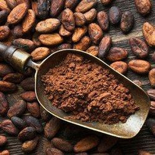 Organic Cocoa Beans