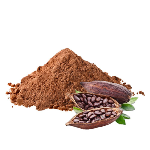 Organic Cocoa Beans