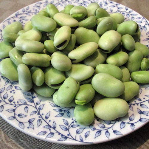 Vicia Beans
