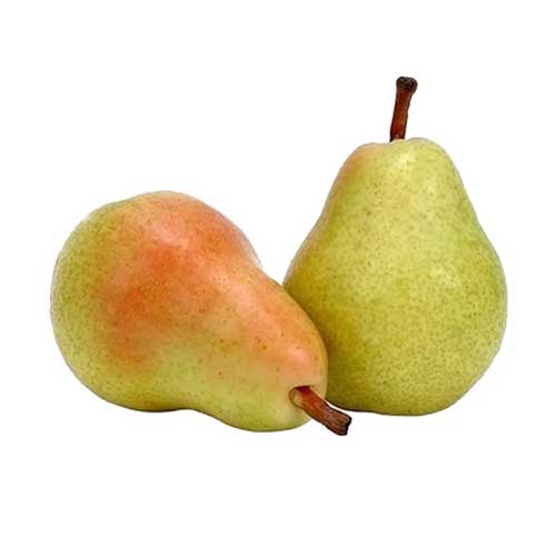 Pear