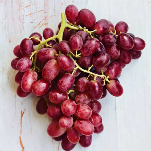 Grape