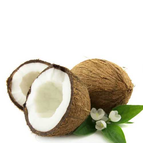 Fresh Coconut