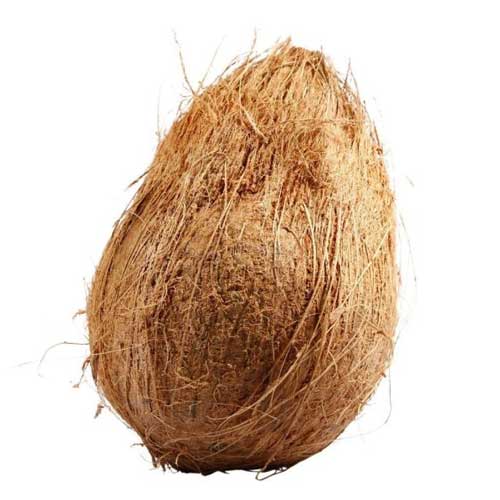 Fresh Coconut