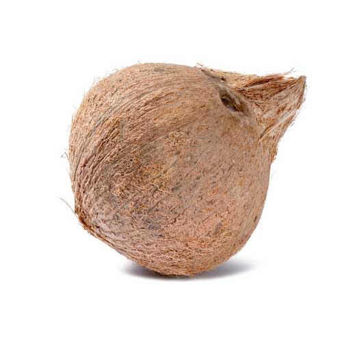 Fresh Coconut