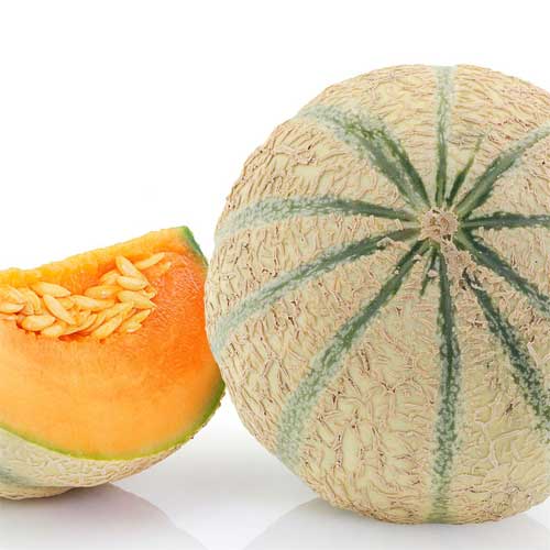 Melon