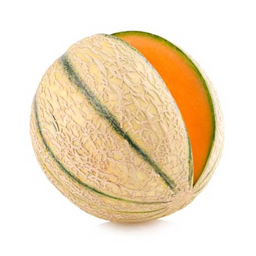 Melon