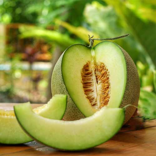 Melon
