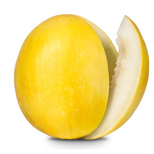 Melon