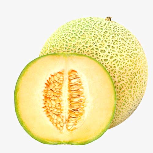 Melon