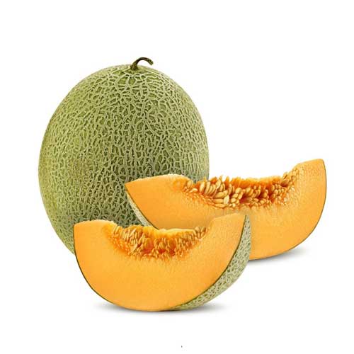 Melon