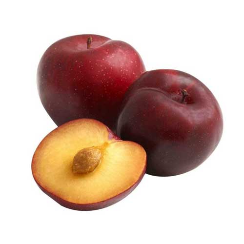 Plum