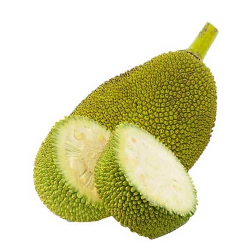 Jackfruit