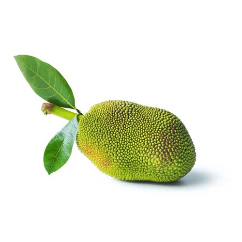 Jackfruit