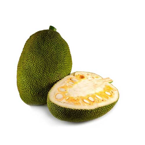 Jackfruit