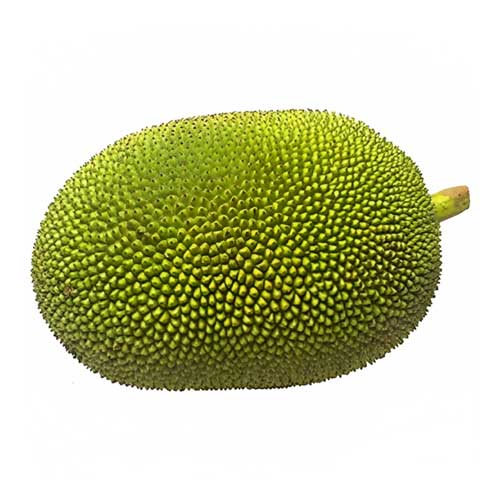 Jackfruit
