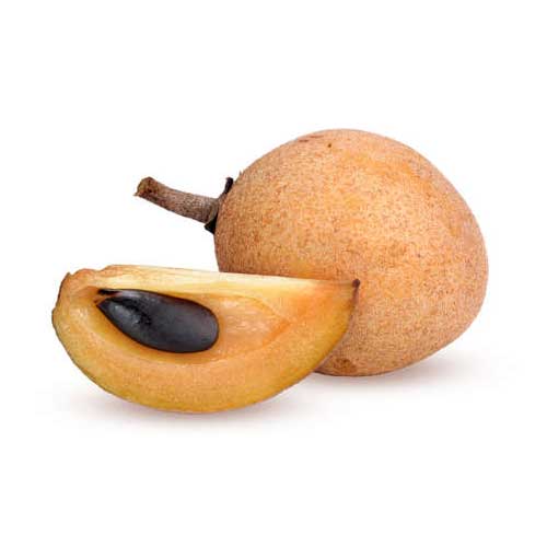 Chikoo Fruit