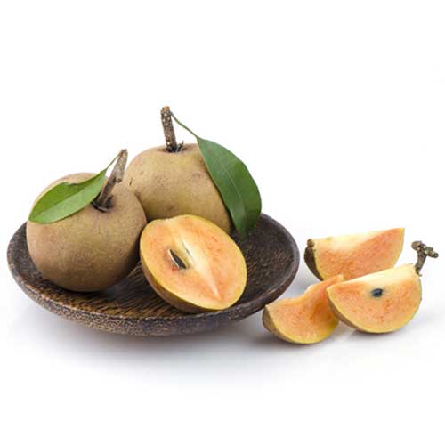 Chikoo Fruit