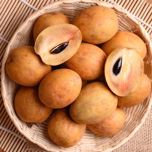 Chikoo Fruit