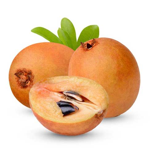 Chikoo Fruit