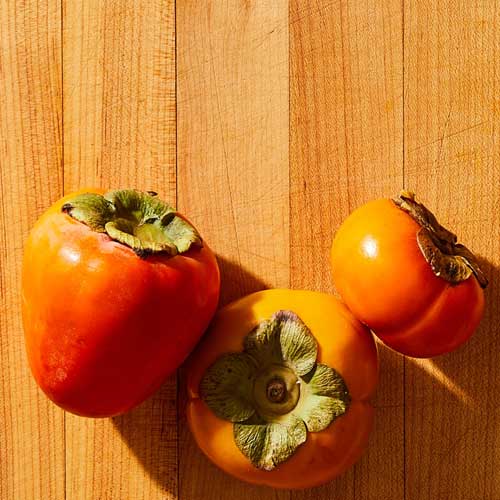 Persimmon