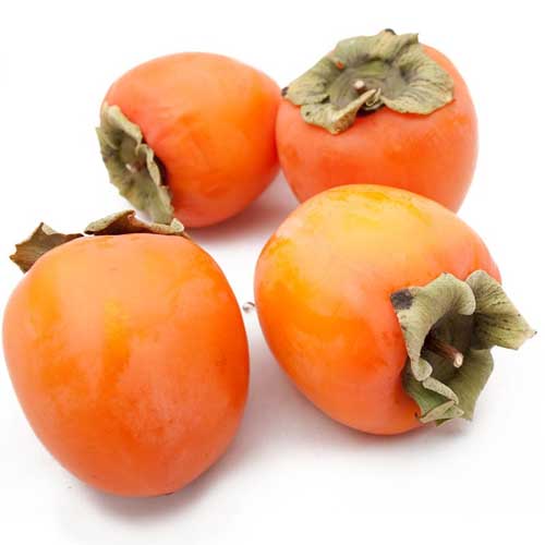 Persimmon