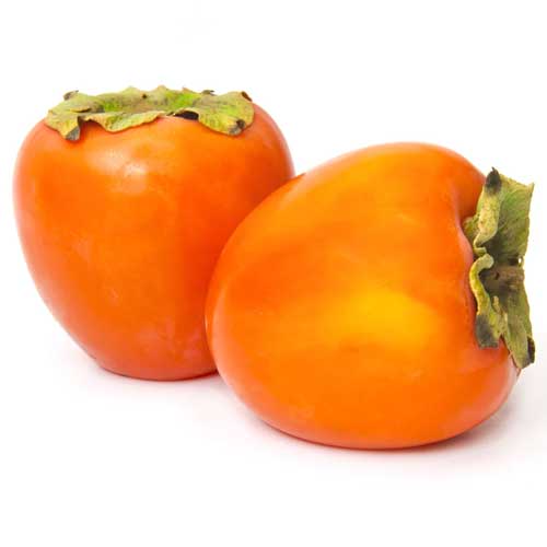 Persimmon