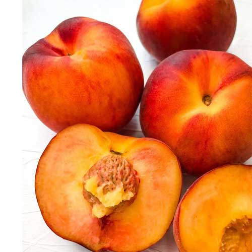 Nectarine