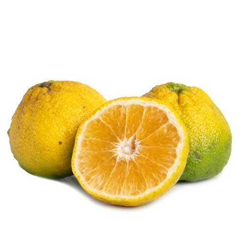 Ugli Fruit