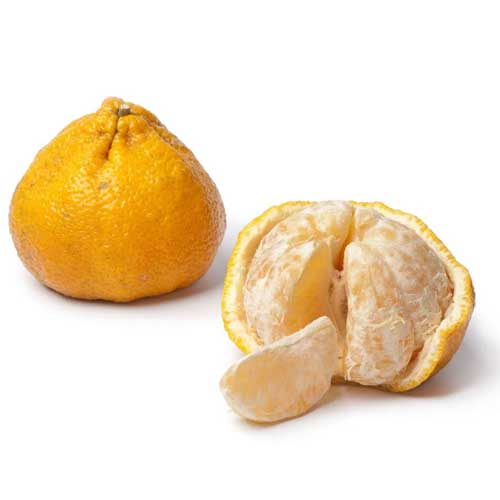 Ugli Fruit