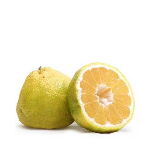 Ugli Fruit