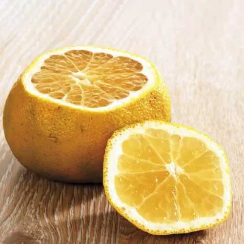 Ugli Fruit