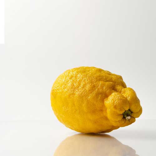 Ugli Fruit