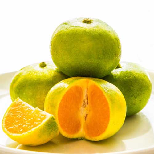 Ugli Fruit