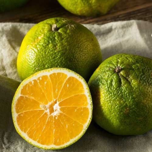 Ugli Fruit