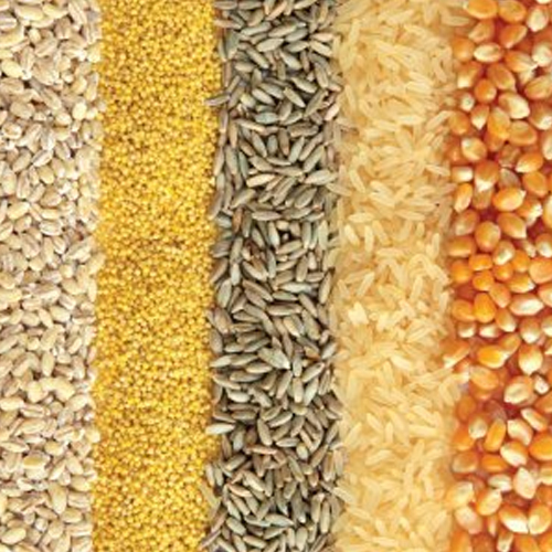 Grains