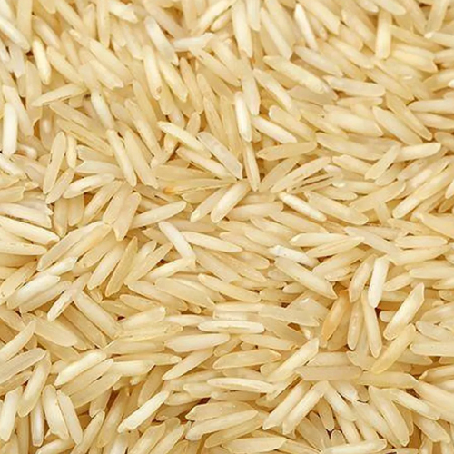 Polished Rice
