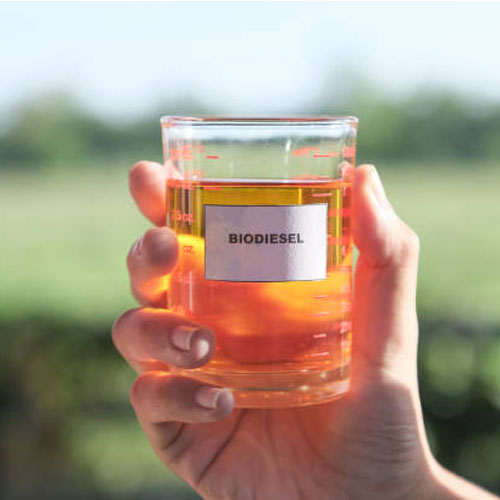 Biodiesel