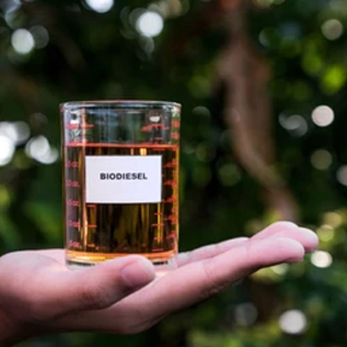 Biodiesel